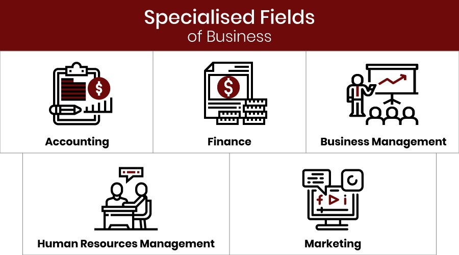  The wide variety of business field specialisations gives students flexibility to explore their interests.